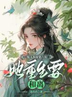 宠妾灭妻？主母携崽二嫁权宦