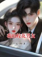 我的校花男友