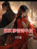 沉沉谬错铸半途