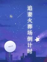 追妻火葬场倒计时
