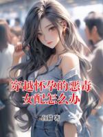 穿越怀孕的恶毒女配怎么办