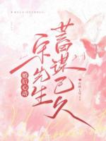 婚后心动，宋先生蓄谋已久