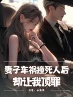 妻子车祸撞死人后，却让我顶罪