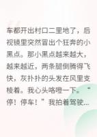 我那可爱的外婆，总给我塞好吃的
