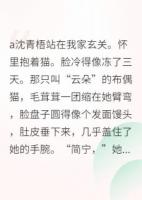 我好像，把房东的猫养胖了