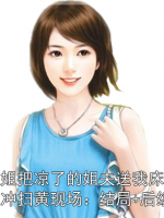 二婚姐姐把凉了的姐夫送我床上，我连夜直冲扫黄现场：结局+后续+完结