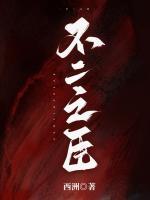 不二之臣