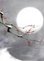 许晚烟顾梵