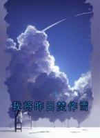 我将昨日焚作雪