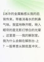 规则之下，尸体不说谎