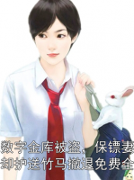 我数字金库被盗，保镖妻子却护送竹马撤退免费全文