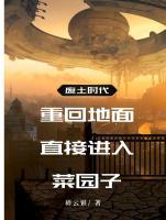 废土时代：重回地面直接进入菜园子