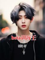 beta训海王