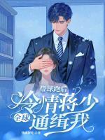 带球跑后，冷情蒋少全球通缉我