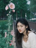 发疯摆烂，应有尽有