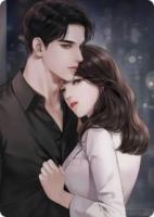 总裁的网络安全小娇妻