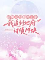 前男友投胎帝王家，我追到地府讨债19块