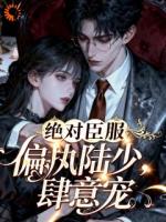 绝对臣服，偏执陆少肆意宠